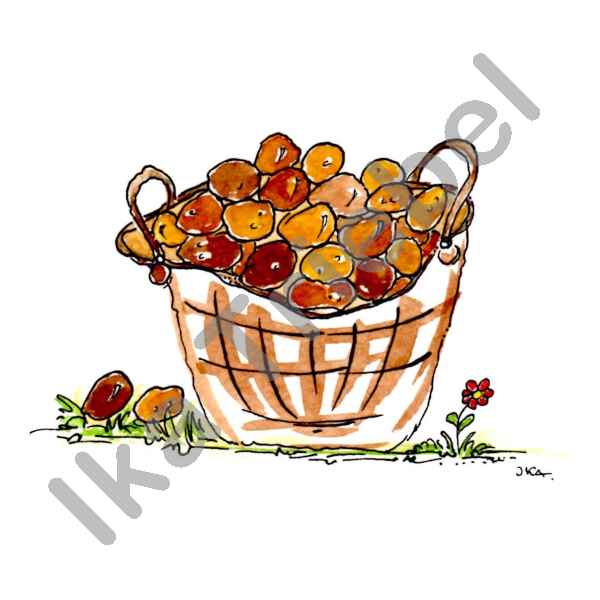 Kartoffelkorb