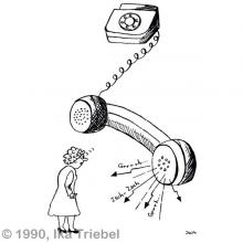 Eine Stimme die nicht stimmt, verstimmt