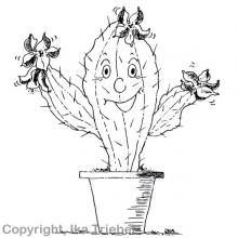 Heute werde ich der Wahrheit stets die mildeste Form geben