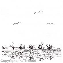 Man muß unten anfangen, wenn man nach oben will