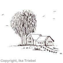 Heute sehe ich nur die schönen Seiten des Lebens