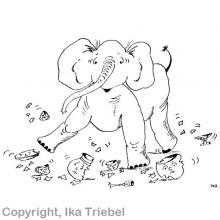 Heute akzeptiere ich jede widrige Situation, ohne mich damit zu belasten