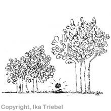 Unauffälligkeit ist Stärke