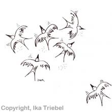 Heute werde ich andere nicht abseits stehen lassen